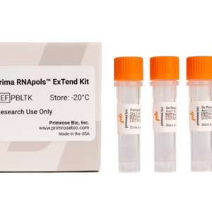 Prima RNApols™ ExTend Kit