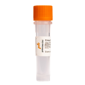 Prima RNApols™ ExTend GMP-grade¹