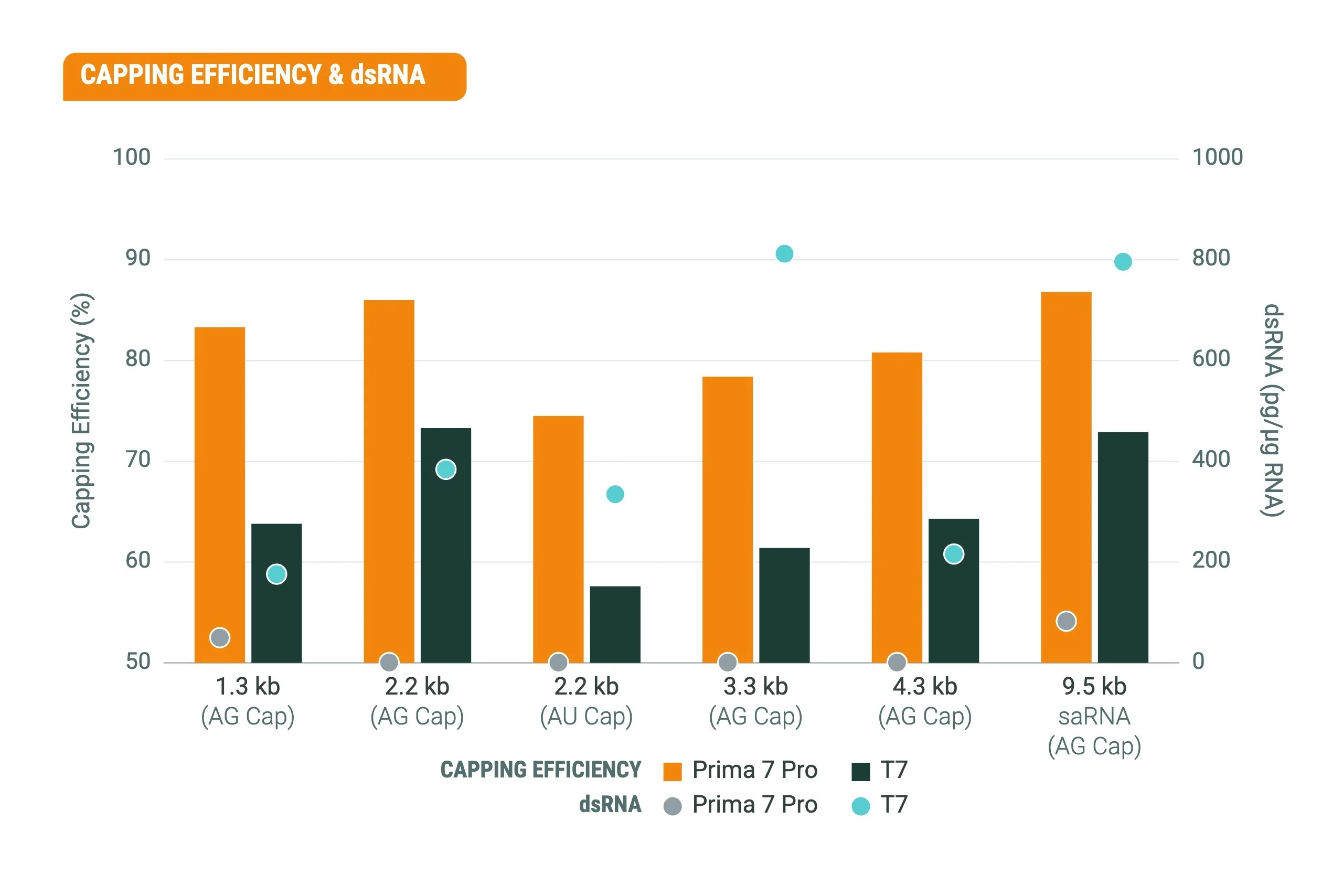 Capping Efficiency & dsRNA